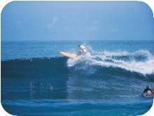 surf_T014