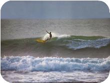 surf_T025