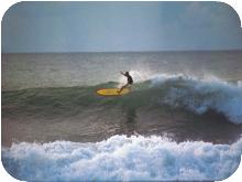 surf_T026
