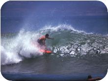 surf_T159