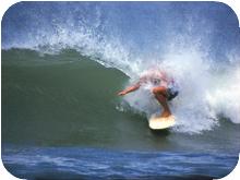 surf_T164
